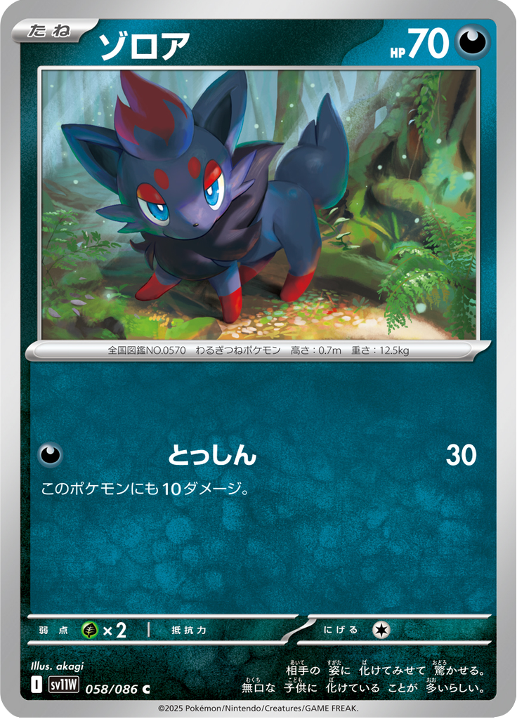 ゾロア