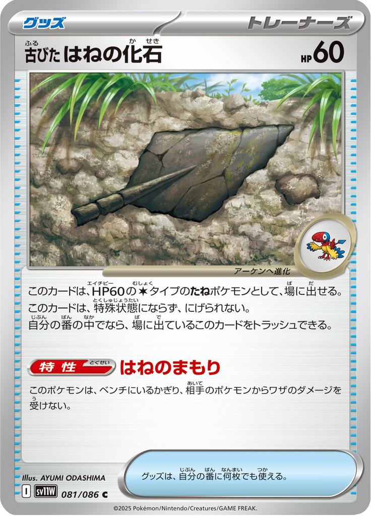 古びたはねの化石