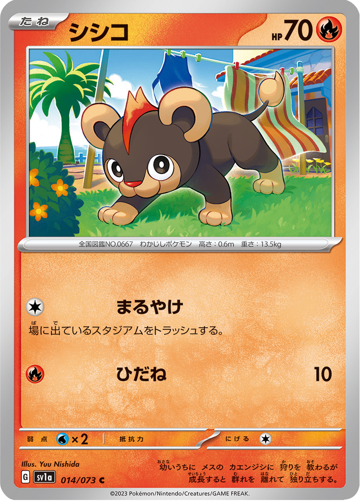 シシコ