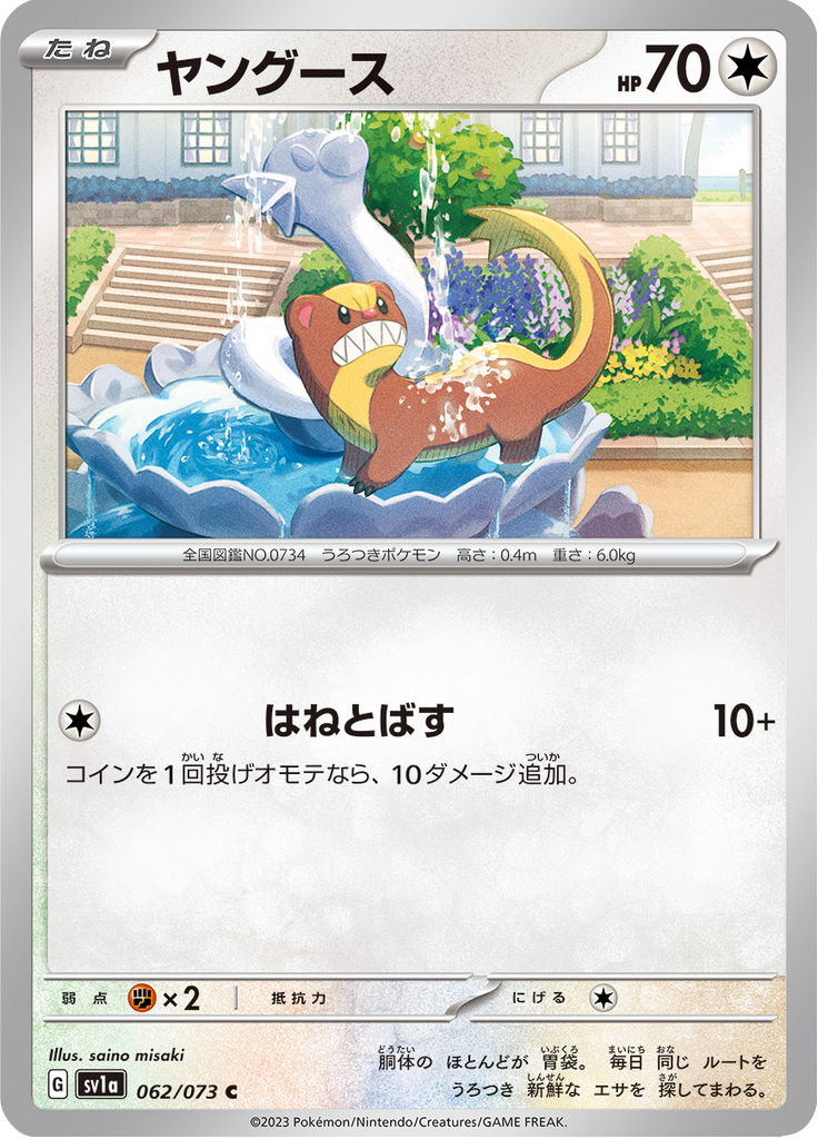 ヤングース