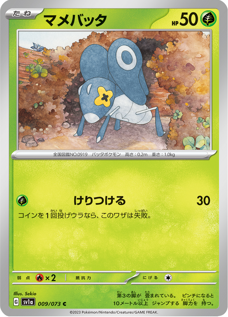 マメバッタ