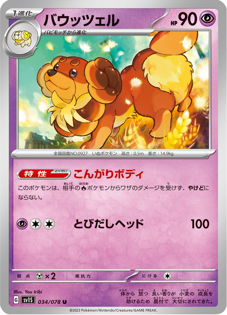 バウッツェル