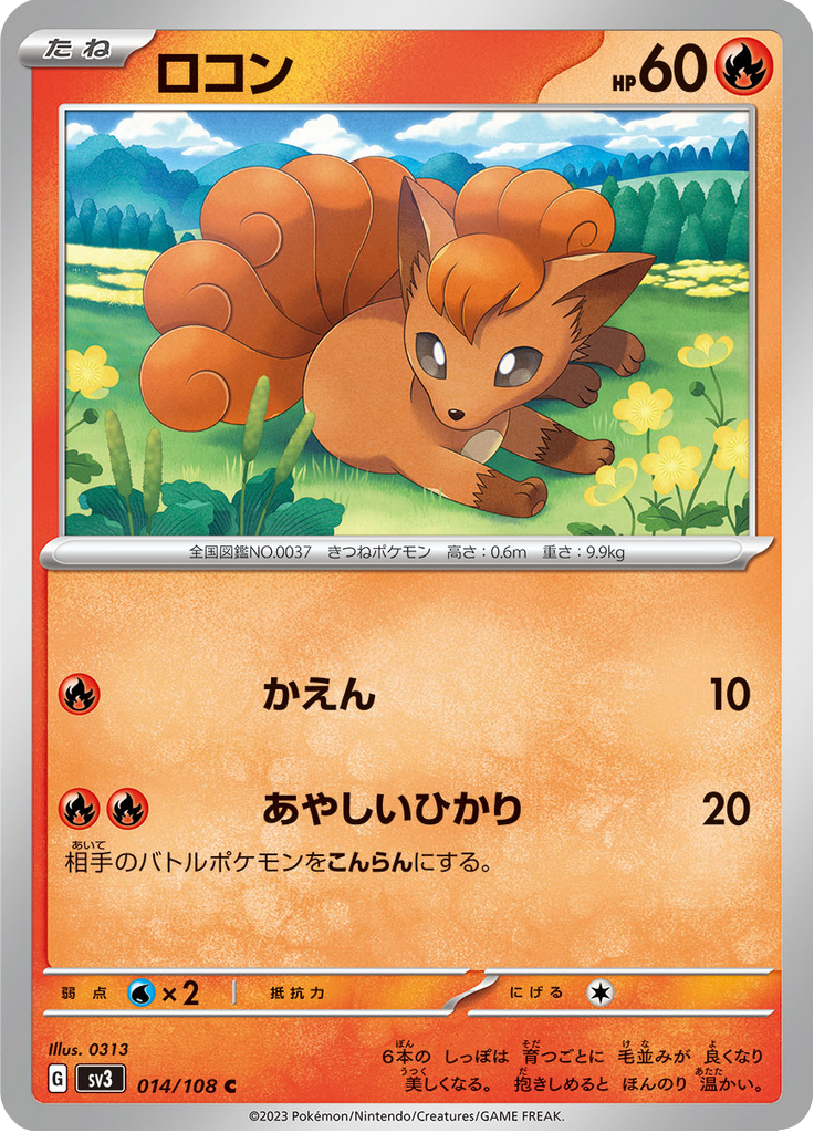 ロコン