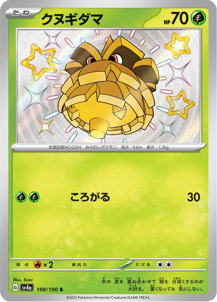 クヌギダマ