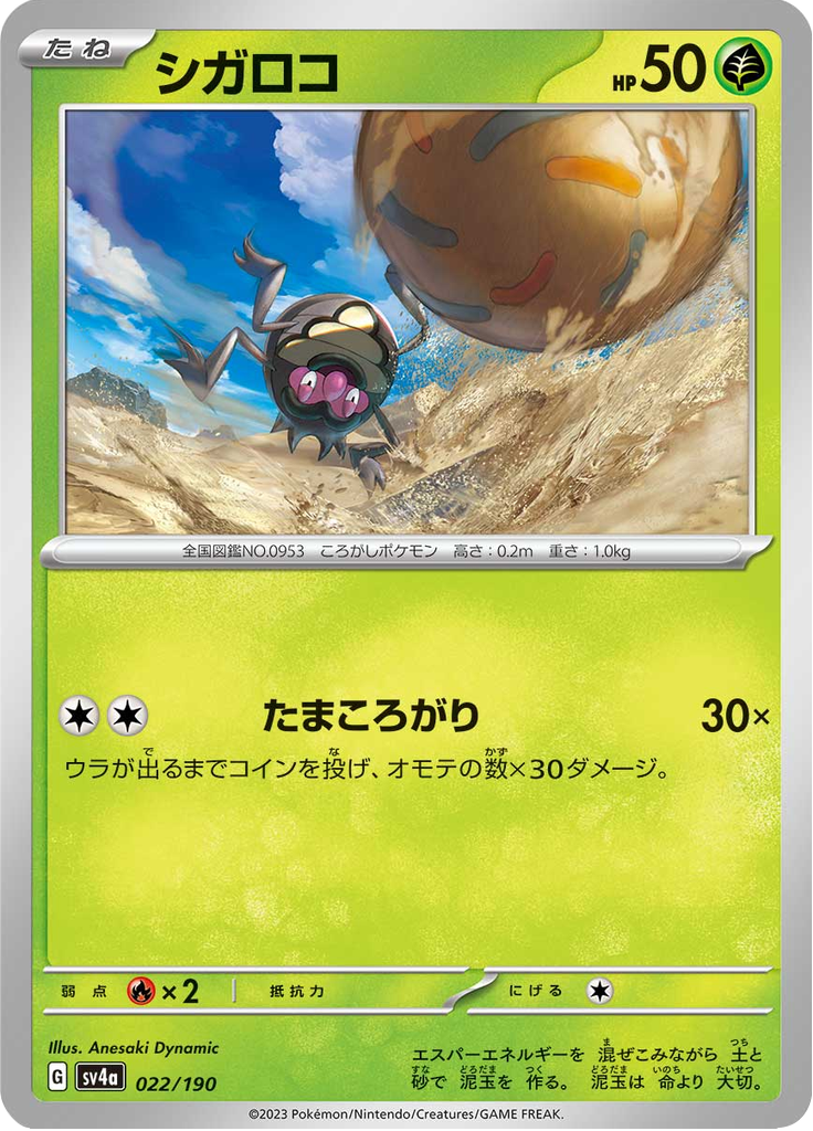 シガロコ
