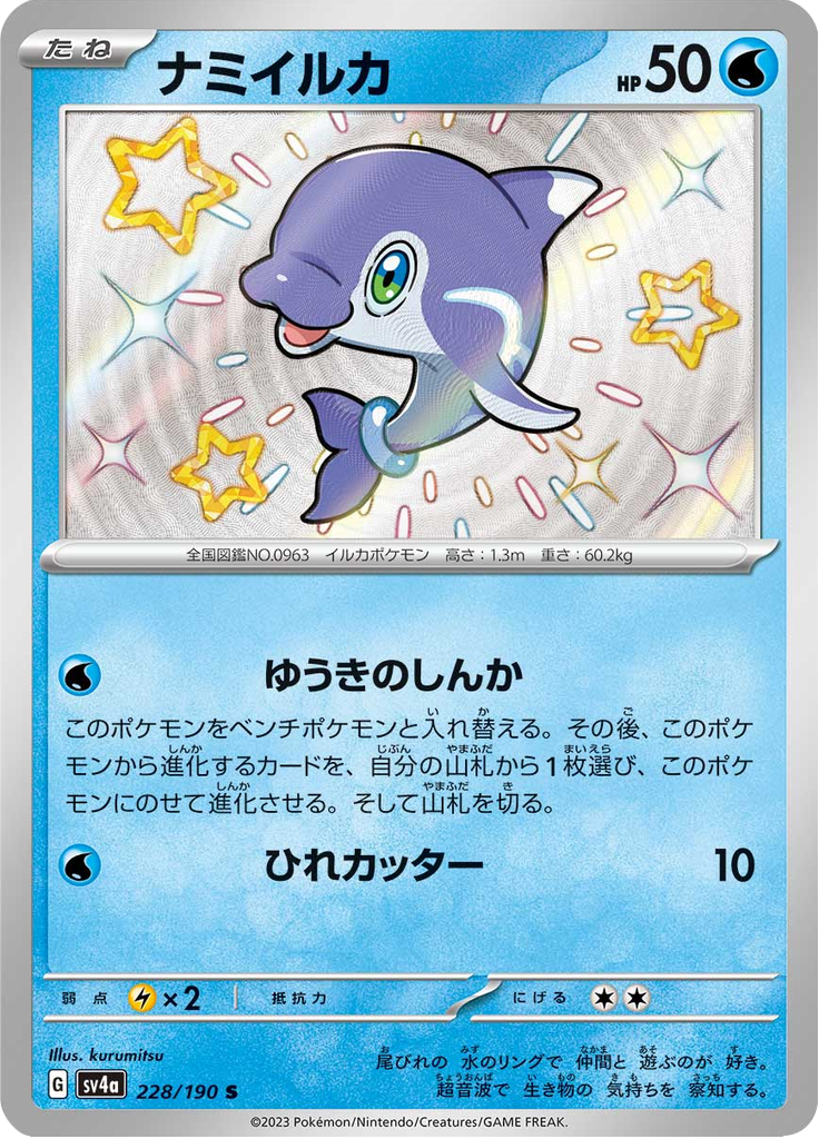 ナミイルカ