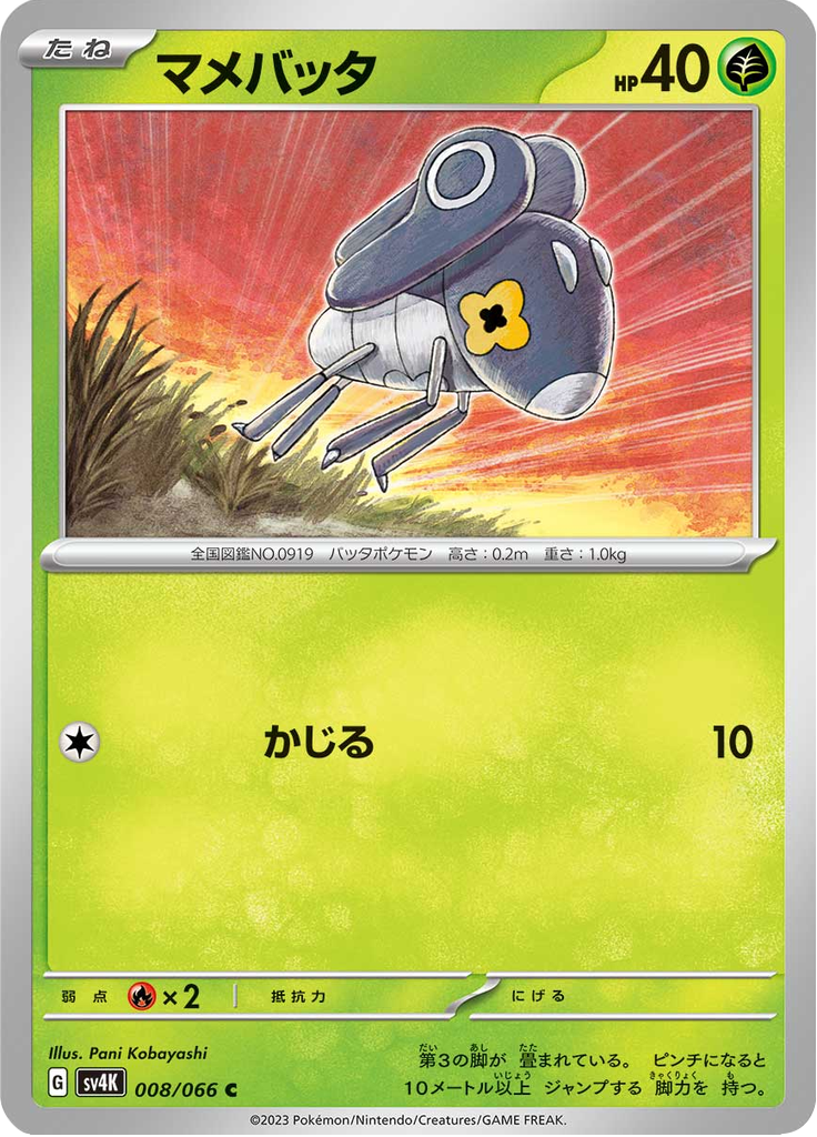マメバッタ
