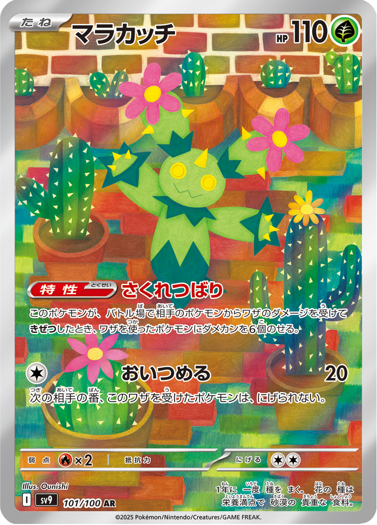 マラカッチ