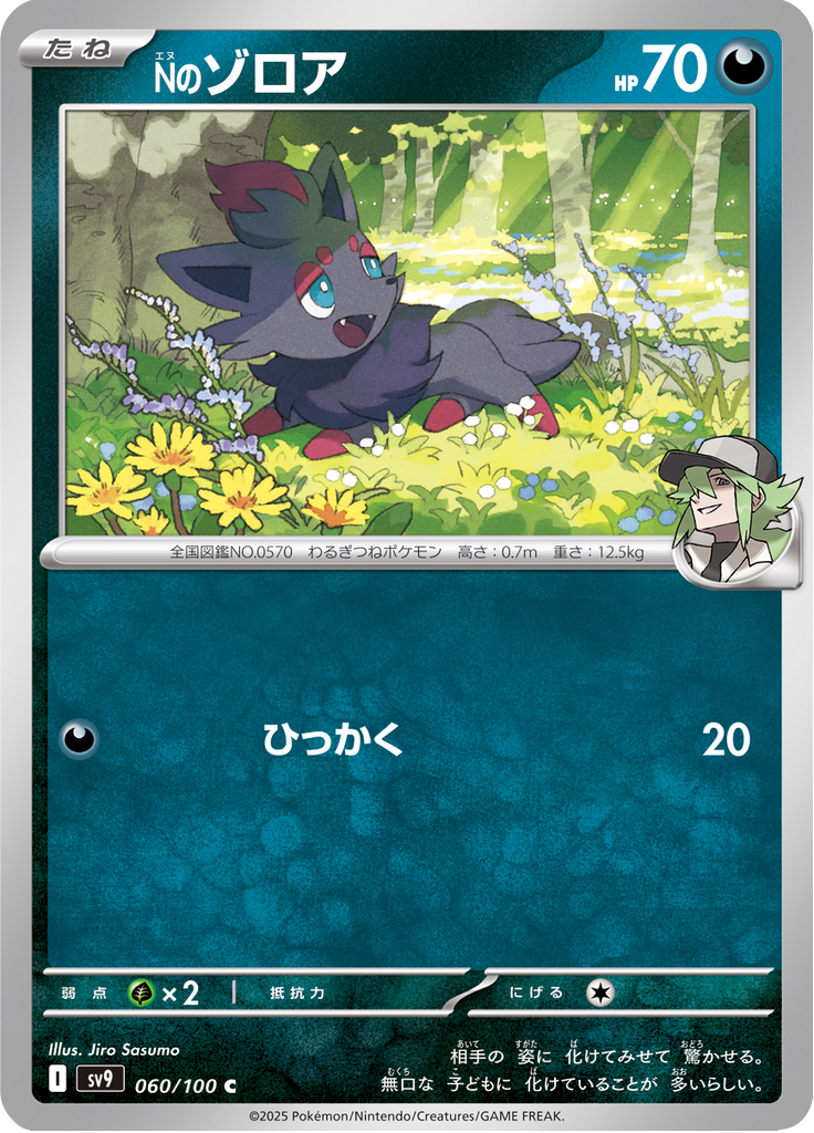 Nのゾロア