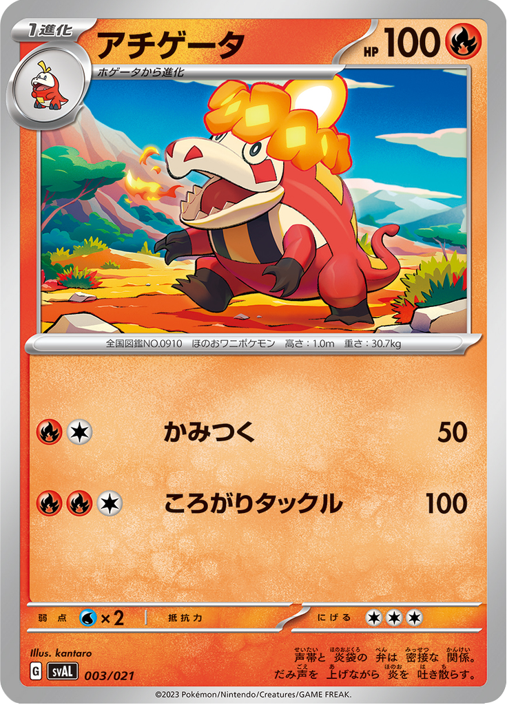 アチゲータ