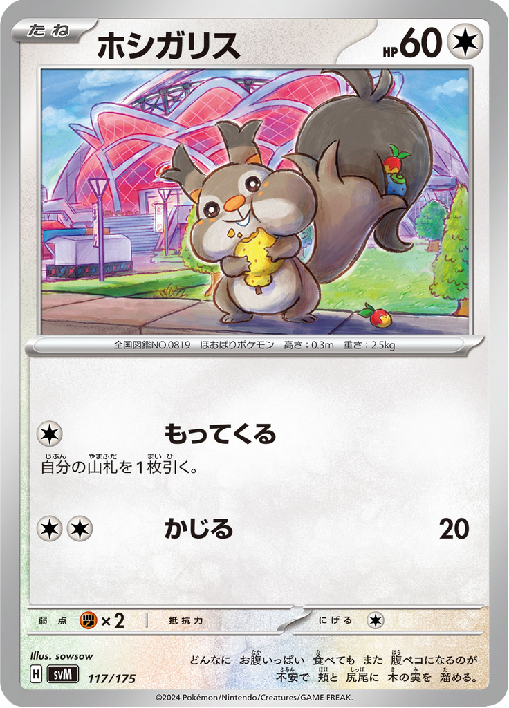 ホシガリス