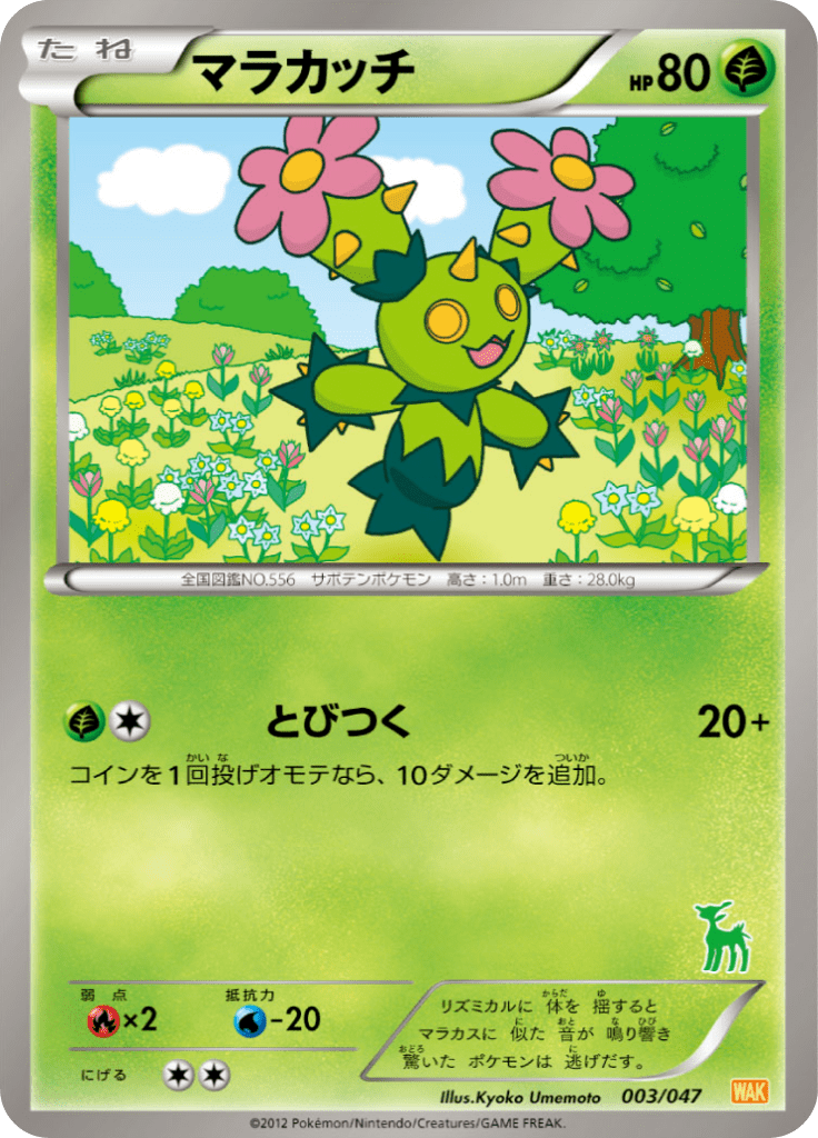 マラカッチ