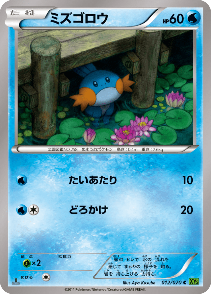ミズゴロウ