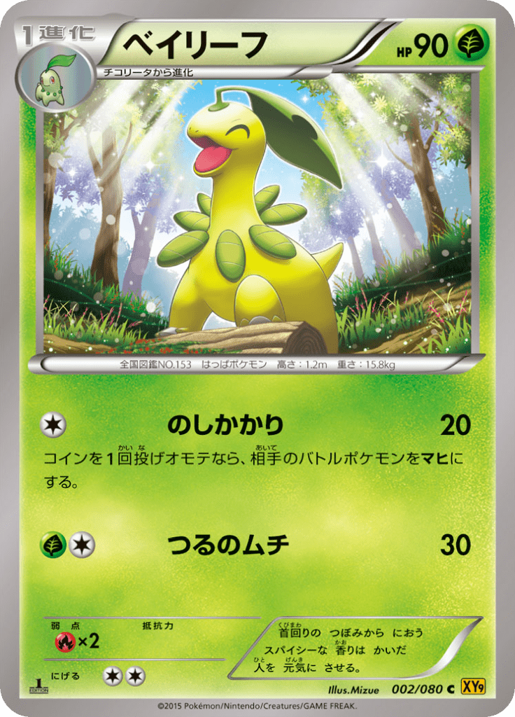 ベイリーフ