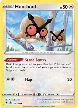 Hoothoot