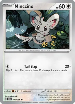 Minccino