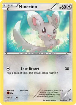 Minccino