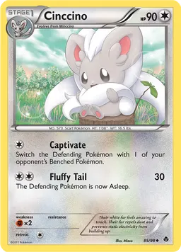 Cinccino