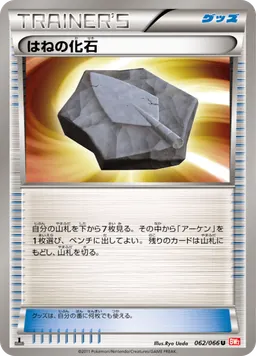 はねの化石