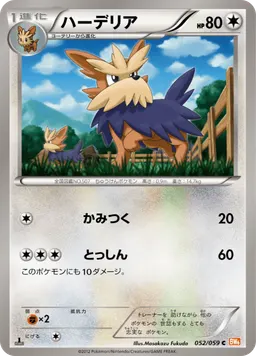 ハーデリア