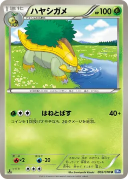 ハヤシガメ