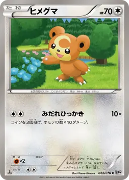 ヒメグマ