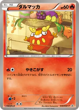 ダルマッカ