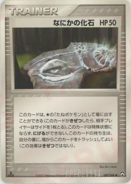 なにかの化石