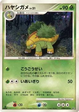 ハヤシガメ
