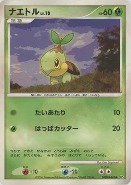 ナエトル