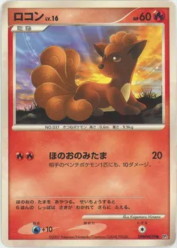 ロコン