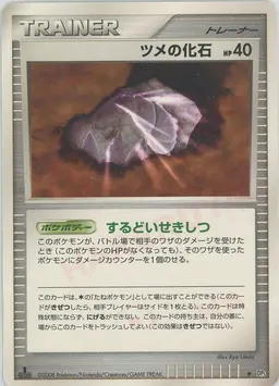 ツメの化石