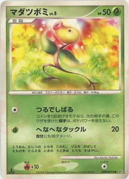 マダツボミ