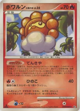 ポワルン太陽の姿