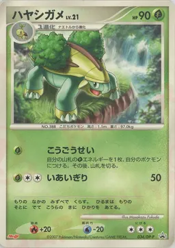 ハヤシガメ