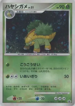 ハヤシガメ