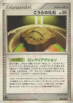 こうらの化石