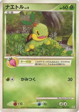 ナエトル