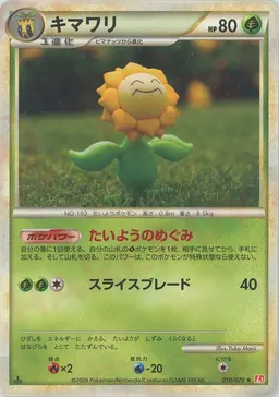 キマワリ