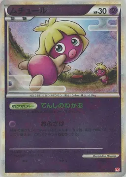 ムチュール:ミラー