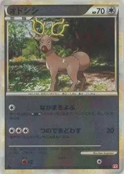 オドシシ:ミラー