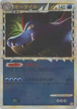 オーダイル:ミラー