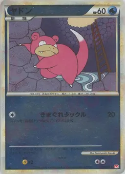 ヤドン:ミラー