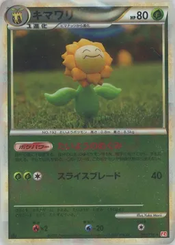 キマワリ:ミラー