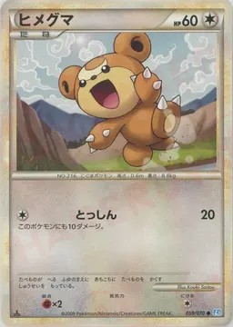ヒメグマ