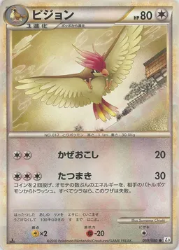 ピジョン