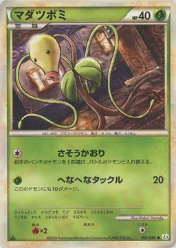 マダツボミ