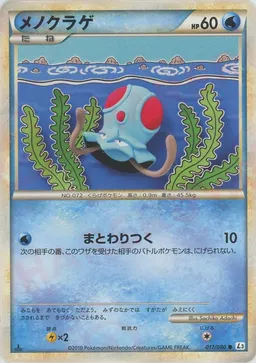 メノクラゲ