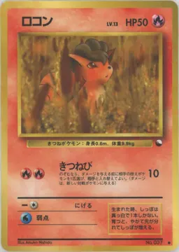 ロコンLV.13