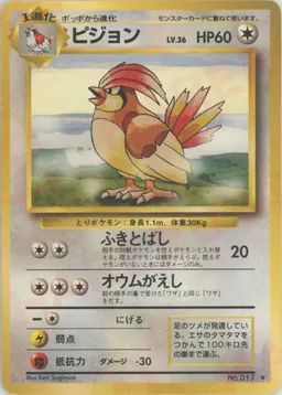 ピジョン